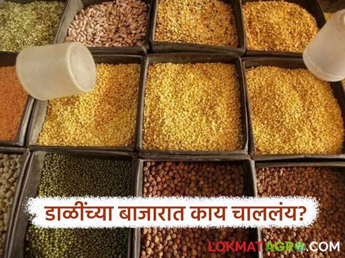 latest news Dal Market: Read in detail what impact the government's pulse import policy is having on farmers. | Dal Market : सरकारच्या डाळींच्या आयात धोरणाचा शेतकऱ्यांवर काय होतोय परिणाम वाचा सविस्तर latest news Dal Market: Read in detail what impact the government's pulse import policy is having on farmers. | Dal Market : सरकारच्या डाळींच्या आयात धोरणाचा शेतकऱ्यांवर काय होतोय परिणाम वाचा सविस्तर