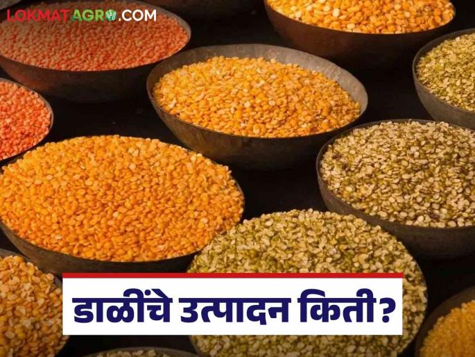 Dal Production : These five states are leading in the production of pulses; What is the number of Maharashtra? Read in detail | Dal Production : डाळींच्या उत्पादनात 'ही' पाच राज्ये अग्रेसर; महाराष्ट्राचा कितवा नंबर ? वाचा सविस्तर Dal Production : These five states are leading in the production of pulses; What is the number of Maharashtra? Read in detail | Dal Production : डाळींच्या उत्पादनात 'ही' पाच राज्ये अग्रेसर; महाराष्ट्राचा कितवा नंबर ? वाचा सविस्तर