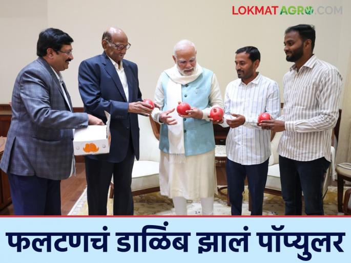 Pomegranate farmers from Phaltan taluka meet the Prime Minister | फलटण तालुक्यातील डाळिंब उत्पादक शेतकरी पंतप्रधानांच्या भेटीला Pomegranate farmers from Phaltan taluka meet the Prime Minister | फलटण तालुक्यातील डाळिंब उत्पादक शेतकरी पंतप्रधानांच्या भेटीला