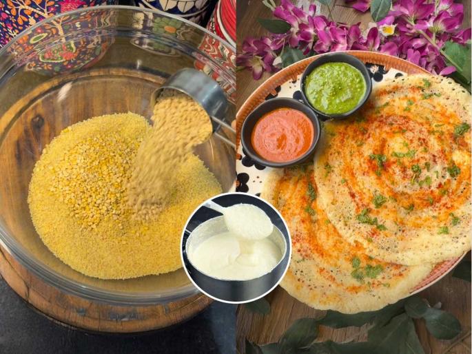 Daliya Dosa Recipe How To Make Daliya Dosa At Home How To Make Healthy And Tasty Broken Wheat Dosa Daliya Dosa | वाटीभर दलियाचा करा मस्त कुरकुरीत डोसा-वजनही घटेल आणि खाऊन पोटही भरेल आनंदाने-पाहा रेसिपी.. Daliya Dosa Recipe How To Make Daliya Dosa At Home How To Make Healthy And Tasty Broken Wheat Dosa Daliya Dosa | वाटीभर दलियाचा करा मस्त कुरकुरीत डोसा-वजनही घटेल आणि खाऊन पोटही भरेल आनंदाने-पाहा रेसिपी..