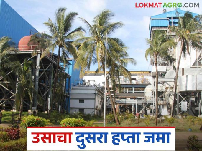 The second installment of sugarcane worth Rs 142 was deposited into the farmers' accounts by this sugar factory | या साखर कारखान्याकडून १४२ रुपयाप्रमाणे उसाचा दुसरा हप्ता शेतकऱ्यांच्या खात्यावर जमा The second installment of sugarcane worth Rs 142 was deposited into the farmers' accounts by this sugar factory | या साखर कारखान्याकडून १४२ रुपयाप्रमाणे उसाचा दुसरा हप्ता शेतकऱ्यांच्या खात्यावर जमा