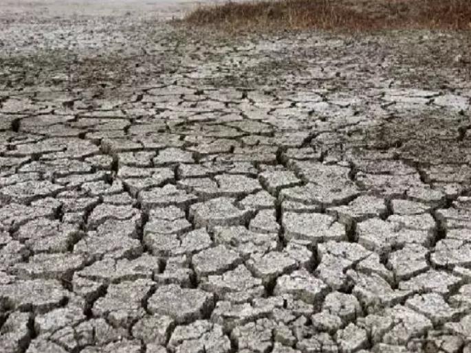 Another medium project in Latur district is Kerda; In 501 villages, there is chaos! | लातूर जिल्ह्यातील आणखीन एक मध्यम प्रकल्प काेरडा; ५०१ गावांमध्ये ठणठणाट!