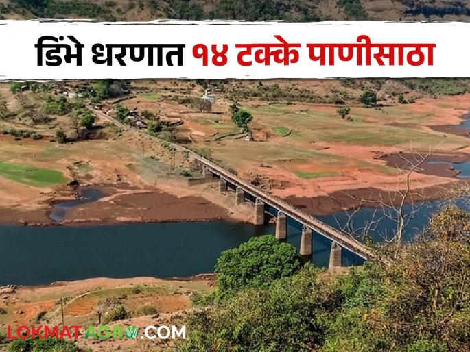 The catchment area of Dimbhe Dam has become empty | Dimbhe Dam डिंभे धरणाचे पाणलोट क्षेत्र झाले रिकामे