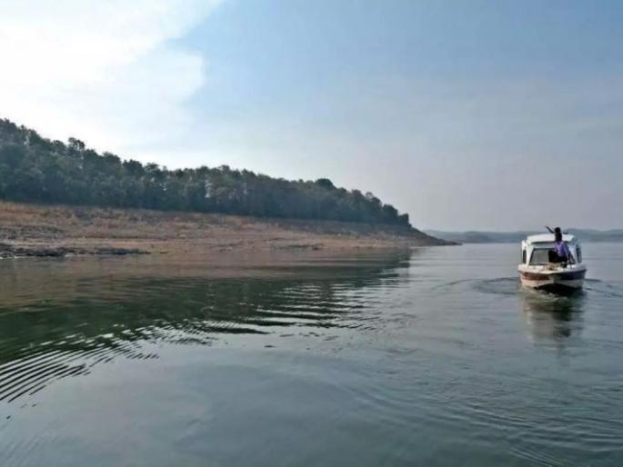 Water storage in the dam in Nagpur region increased | नागपूर विभागातील धरणात पाणीसाठा वाढला