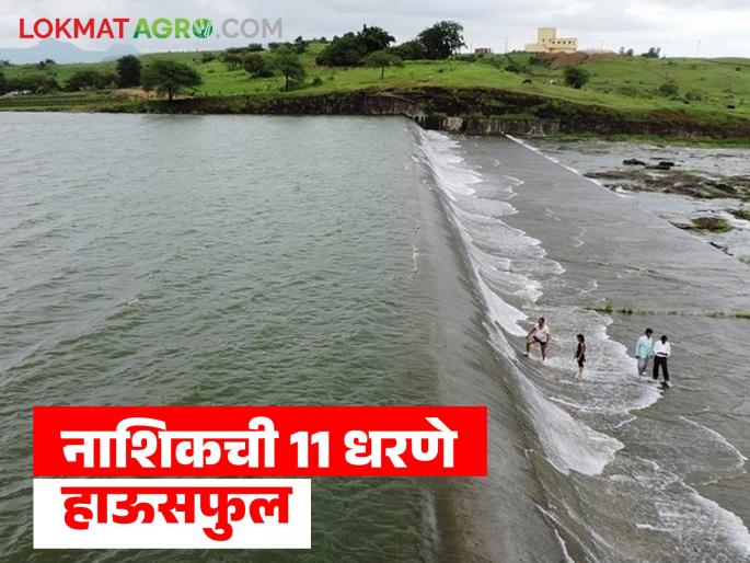 Latest News Gangapur dam Heavy rains for two days, 11 dams housefull in Nashik district, read complete water storage | Nashik Dam Storage : दोन दिवस मुसळधार, नाशिक जिल्ह्यांत 11 धरणे हाऊसफुल, वाचा संपूर्ण पाणीसाठा 