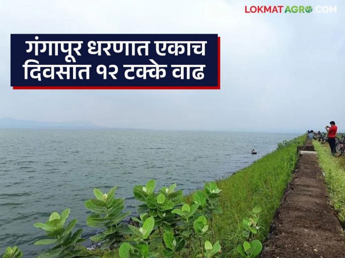 Latest news Nashik's Gangapur dam at 65 percent in June water discharged in godawari | Gangapur Dam ; नाशिकचे गंगापूर धरण जूनमध्येच 65 टक्क्यांवर, गोदावरीला पूर 