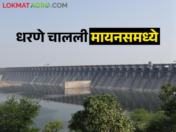 The dams reached the low water storage in February.. The drought will affect | फेब्रुवारीतच धरणांनी गाठला तळ.. बसणार दुष्काळाची झळ The dams reached the low water storage in February.. The drought will affect | फेब्रुवारीतच धरणांनी गाठला तळ.. बसणार दुष्काळाची झळ