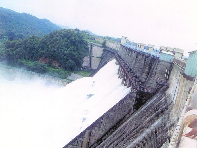 To leave the water for rabbi in the screw project | पेंच प्रकल्पातून रब्बीसाठी पाणी सोडणार To leave the water for rabbi in the screw project | पेंच प्रकल्पातून रब्बीसाठी पाणी सोडणार