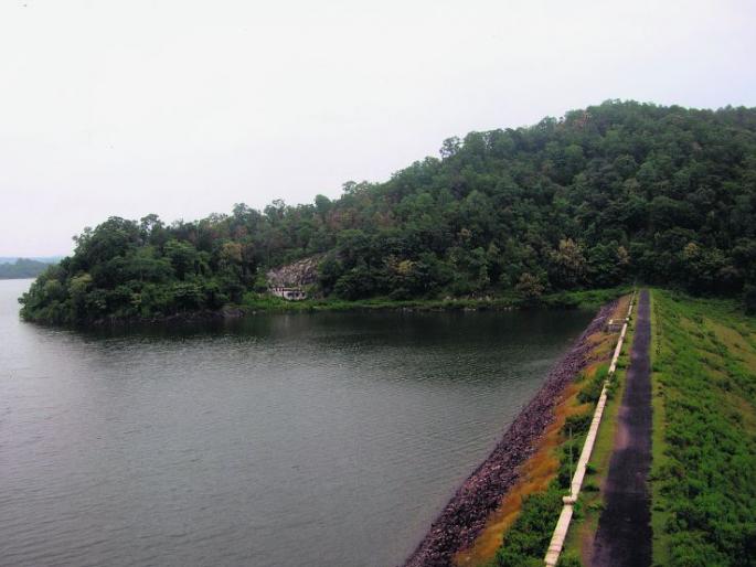 29% water balance in 509 projects in West Vidarbha | पश्चिम विदर्भातील ५०९ प्रकल्पांत २९ टक्के पाणीसाठा शिल्लक 29% water balance in 509 projects in West Vidarbha | पश्चिम विदर्भातील ५०९ प्रकल्पांत २९ टक्के पाणीसाठा शिल्लक