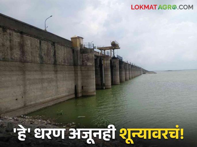 Latest News Maharashtra dam Storage these dam zero percent few dam is 100 percent full, read in detail  | Maharashtra Dam Storage : राज्यातील 'हे' धरण अजूनही शून्य टक्के... तर ही धरणे 100 टक्के भरली, वाचा सविस्तर  Latest News Maharashtra dam Storage these dam zero percent few dam is 100 percent full, read in detail  | Maharashtra Dam Storage : राज्यातील 'हे' धरण अजूनही शून्य टक्के... तर ही धरणे 100 टक्के भरली, वाचा सविस्तर