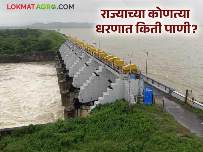 Latest News Dam Storage How much water has accumulated in Jayakwadi, Ujani, Gangapur dams | जायकवाडी, उजनी, गंगापूर धरणांत किती पाणीसाठा जमा झाला? वाचा धरणांची स्थिती 