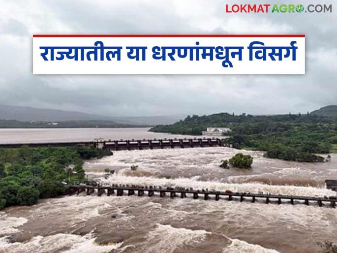 Latest news Water storage in dams in maharashtra has increased, discharge from dams, read in detail | Maharashtra Rain : राज्यातील धरणांमध्ये पाणीसाठा वाढला, या धरणांमधून विसर्ग, वाचा सविस्तर
