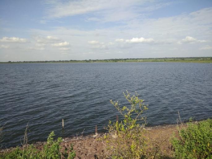 Four medium projects overflow in Latur district! | लातूर जिल्ह्यातील ४ मध्यम प्रकल्प ओव्हरफ्लो, मांजरा धरणात मात्र ४८.१७ टक्के पाणीसाठा Four medium projects overflow in Latur district! | लातूर जिल्ह्यातील ४ मध्यम प्रकल्प ओव्हरफ्लो, मांजरा धरणात मात्र ४८.१७ टक्के पाणीसाठा