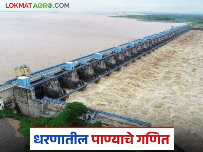 Latest news How is water storage in dams measured and what is cusec, TMC | धरणांमधील पाणीसाठा कसा मोजला जातो, क्युसेक,टीएमसी म्हणजे काय?  Latest news How is water storage in dams measured and what is cusec, TMC | धरणांमधील पाणीसाठा कसा मोजला जातो, क्युसेक,टीएमसी म्हणजे काय?