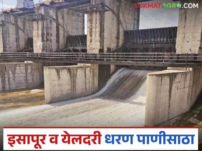 latest news Dam Water Storage: Heavy rains result; Water release from these two big dams begins | Dam Water Storage : जोरदार पावसाचा परिणाम; 'या' दोन मोठ्या धरणांतून पाण्याचा विसर्ग सुरू latest news Dam Water Storage: Heavy rains result; Water release from these two big dams begins | Dam Water Storage : जोरदार पावसाचा परिणाम; 'या' दोन मोठ्या धरणांतून पाण्याचा विसर्ग सुरू
