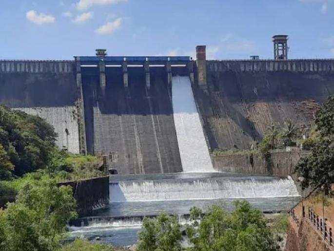 3 TMC of water used this year in Rabi season, Additional water storage in the dam in Kolhapur district compared to last year | रब्बी हंगामात यंदा ३.६४ ‘टीएमसी’ पाण्याचा वापर, कोल्हापूर जिल्ह्यातील धरणात सद्या किती पाणीसाठा.. जाणून घ्या 3 TMC of water used this year in Rabi season, Additional water storage in the dam in Kolhapur district compared to last year | रब्बी हंगामात यंदा ३.६४ ‘टीएमसी’ पाण्याचा वापर, कोल्हापूर जिल्ह्यातील धरणात सद्या किती पाणीसाठा.. जाणून घ्या