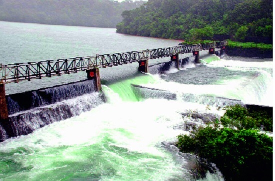 Chattodha also affected the area due to the Enghola dam: the Kalamwadi dam was interrupted | चाफोडी तर्फ ऐनघोलला धरणामुळे बेटाचे स्वरूप : काळम्मावाडी धरणामुळे बाधित