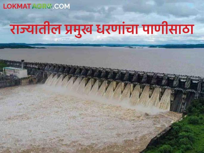 Maharashtra Dam Discharged : How much water in which dam? | Maharashtra Dam Discharged : आज सायंकाळी कोणत्या धरणातून किती पाणी सोडलंय? जाणून घ्या सविस्तर Maharashtra Dam Discharged : How much water in which dam? | Maharashtra Dam Discharged : आज सायंकाळी कोणत्या धरणातून किती पाणी सोडलंय? जाणून घ्या सविस्तर