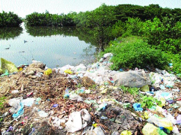 Khamrutut 'dumping' illegal, told Thane Municipal Corporation | खारफुटीवर ‘डम्पिंग’ बेकायदेशीर, ठाणे महानगरपालिकेला सुनावले खडे बोल Khamrutut 'dumping' illegal, told Thane Municipal Corporation | खारफुटीवर ‘डम्पिंग’ बेकायदेशीर, ठाणे महानगरपालिकेला सुनावले खडे बोल