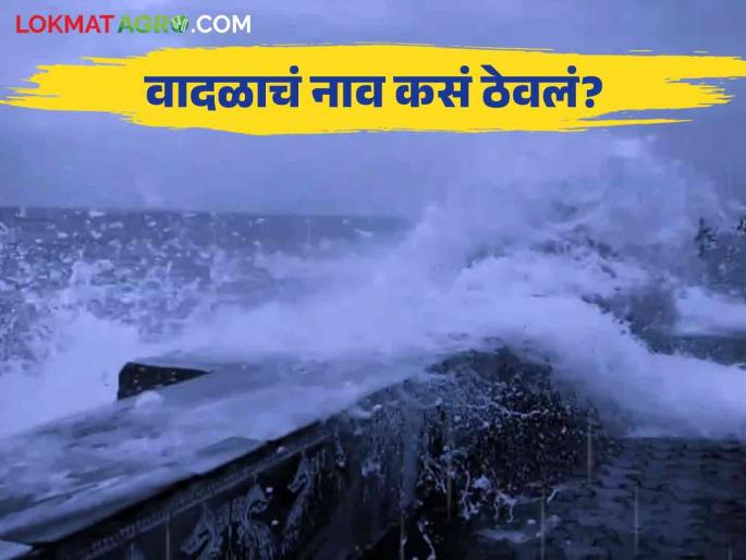 Dana Cyclone : Who gave the name to the cyclone on the coast of Bengal? | Dana Cyclone : बंगालच्या किनाऱ्यावरील चक्रीवादळाला नाव कोणी व कशावरून दिले?