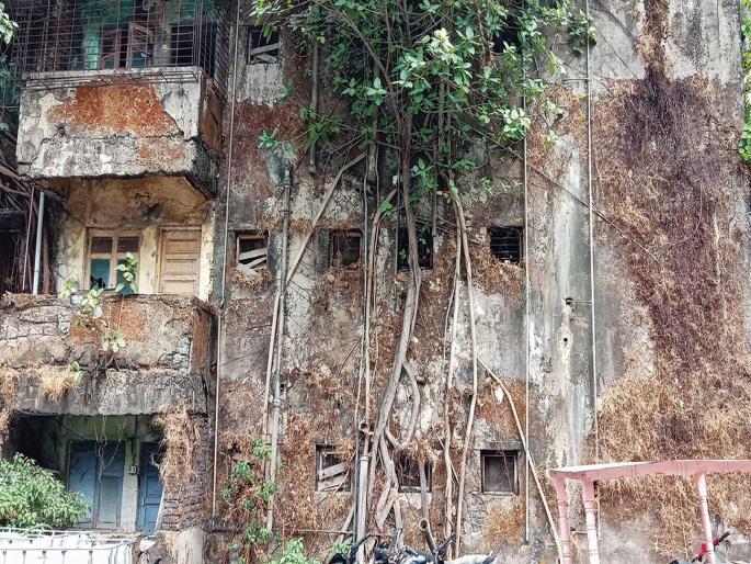 22 buildings in the Karjat municipal council are dangerous | कर्जत नगरपरिषद क्षेत्रात २२ इमारती धोकादायक