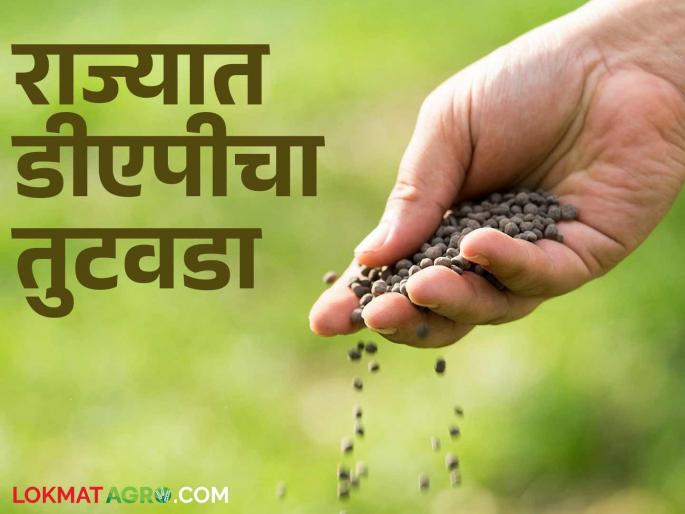It is unaffordable to import this fertilizer, which is in high demand by farmers; what is the reason? | शेतकऱ्यांकडून मोठ्या प्रमाणावर मागणी असलेल्या या खताची आयात परवडेना; काय आहे कारण?