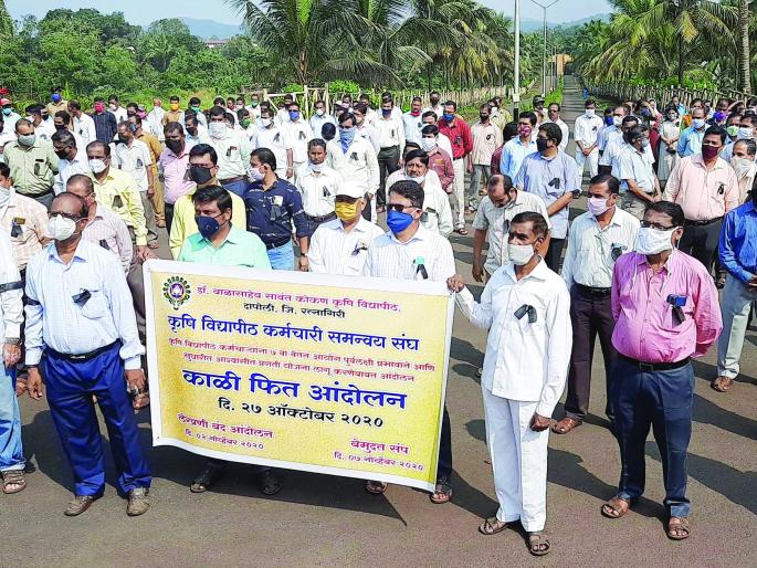 Black lace movement of agricultural university employees | कृषी विद्यापीठ कर्मचाऱ्यांचे काळी फित आंदोलन