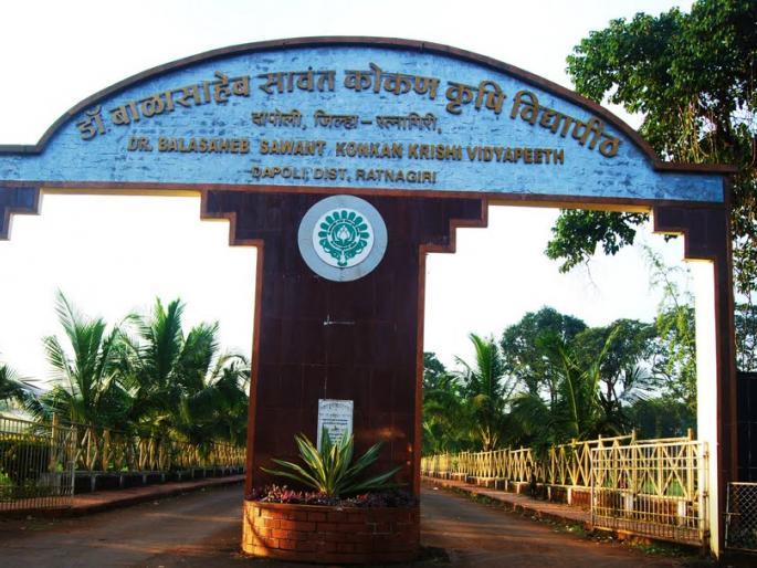 Bus Accident: Dapoli Agricultural University, everybody's homage | Bus Accident : दापोली कृषी विद्यापीठावर अवकळा, परिसरात सर्वांनी वाहिली श्रद्धांजली Bus Accident: Dapoli Agricultural University, everybody's homage | Bus Accident : दापोली कृषी विद्यापीठावर अवकळा, परिसरात सर्वांनी वाहिली श्रद्धांजली