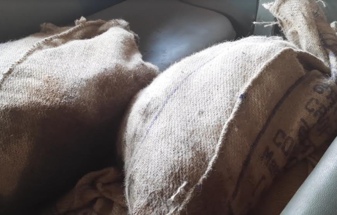 220 kg of beef seized in Dapoli | पेट्रोलिंग करताना गाडीची तपासणी, दापोलीत पकडले २२० किलो गोमांस 220 kg of beef seized in Dapoli | पेट्रोलिंग करताना गाडीची तपासणी, दापोलीत पकडले २२० किलो गोमांस