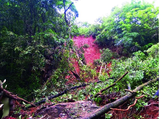 Rehabilitation of 18 families of Ambawadi: The possibility of collapsing | अंबाईवाडीच्या १८ कुटुंबांचे पुनर्वसन : दरडी कोसळण्याची शक्यता Rehabilitation of 18 families of Ambawadi: The possibility of collapsing | अंबाईवाडीच्या १८ कुटुंबांचे पुनर्वसन : दरडी कोसळण्याची शक्यता