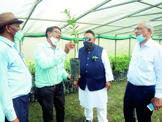 Only 15 scientists in the only citrus research institute in the country! | देशातील एकमेव लिंबूवर्गीय संशोधन संस्थेत वैज्ञानिक फक्त १५ ! Only 15 scientists in the only citrus research institute in the country! | देशातील एकमेव लिंबूवर्गीय संशोधन संस्थेत वैज्ञानिक फक्त १५ !