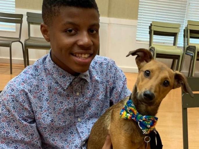 darius-dog-bowties | डॅरिअस म्हणतो , मला बो -टाय बनवून प्राण्यांना मदत करायची आहे! darius-dog-bowties | डॅरिअस म्हणतो , मला बो -टाय बनवून प्राण्यांना मदत करायची आहे!