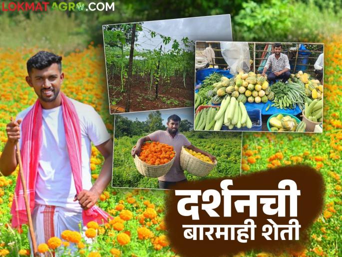 Young Farmer Success Story : After giving up his business, young farmer Darshan started a perennial farming pattern. | Young Farmer Success Story : व्यवसायाला रामराम करून तरुण शेतकरी दर्शनने सुरु केला बारमाही शेतीच्या पॅटर्न Young Farmer Success Story : After giving up his business, young farmer Darshan started a perennial farming pattern. | Young Farmer Success Story : व्यवसायाला रामराम करून तरुण शेतकरी दर्शनने सुरु केला बारमाही शेतीच्या पॅटर्न