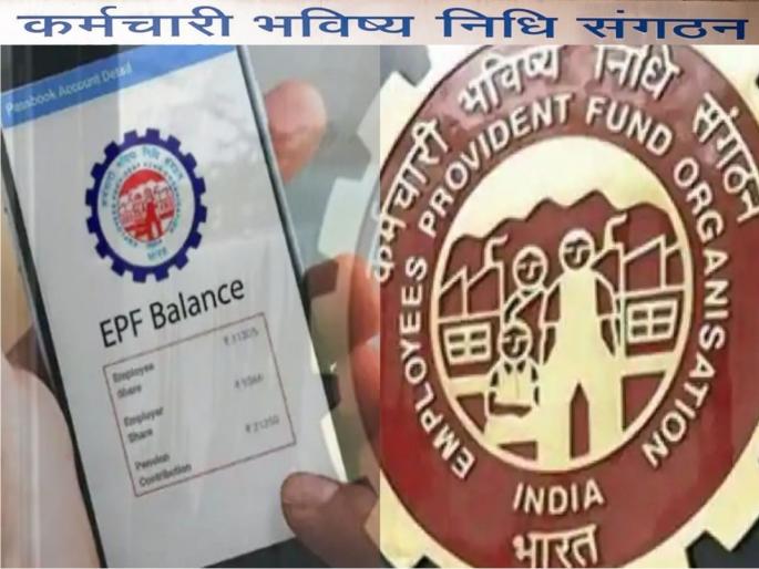 PF Fund: Withdrawal of PF after leaving job? Win win or lose deal... see what is profitable | PF Fund: नोकरी सोडल्यानंतर पीएफचे पैसे काढलात? फायद्याचा की तोट्याचा सौदा...