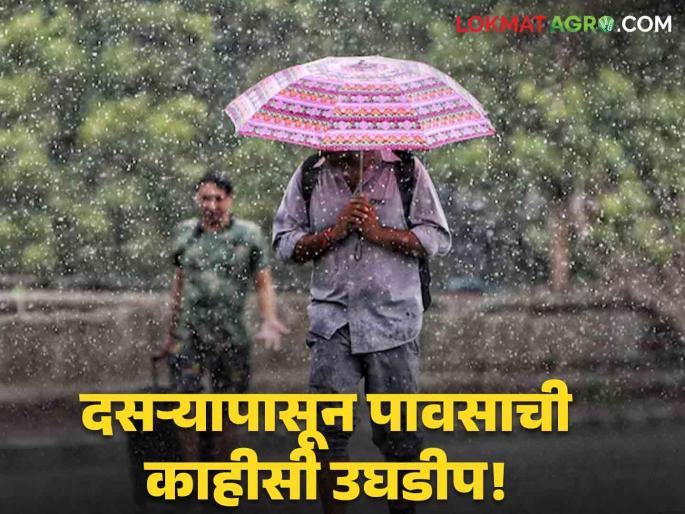 Latest News Maharashtra Rain Update light rain in 18 district for five days from Dasara Read in detail | Maharashtra Rain Update : दसऱ्यापासून पाच दिवस 'या' जिल्ह्यांत पावसाचा अंदाज काय? वाचा सविस्तर Latest News Maharashtra Rain Update light rain in 18 district for five days from Dasara Read in detail | Maharashtra Rain Update : दसऱ्यापासून पाच दिवस 'या' जिल्ह्यांत पावसाचा अंदाज काय? वाचा सविस्तर