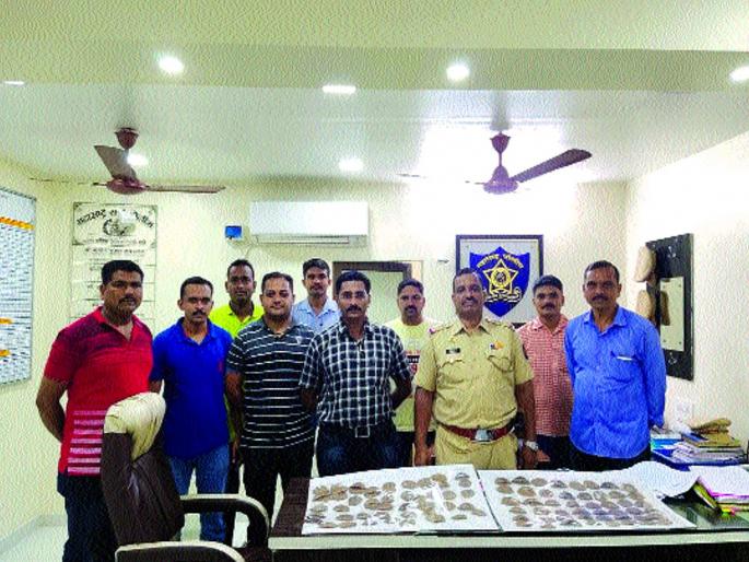 Three arrested for smuggling of cat | मांजराच्या खवल्यांची तस्करी, तिघांना अटक Three arrested for smuggling of cat | मांजराच्या खवल्यांची तस्करी, तिघांना अटक