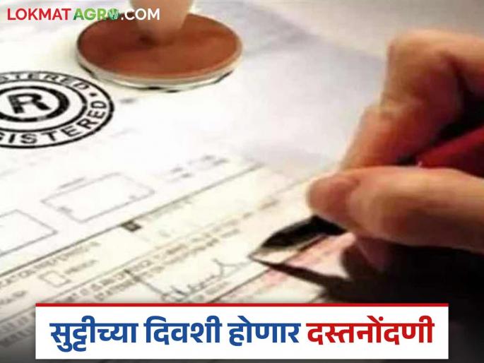 Dast Nondani: By the end of March, registration will be done across the state even during holidays. Read in detail | Dast Nondani: मार्चअखेरीस सुट्टीच्या दिवसांतही होईल राज्यभर दस्तनोंदणी वाचा सविस्तर Dast Nondani: By the end of March, registration will be done across the state even during holidays. Read in detail | Dast Nondani: मार्चअखेरीस सुट्टीच्या दिवसांतही होईल राज्यभर दस्तनोंदणी वाचा सविस्तर
