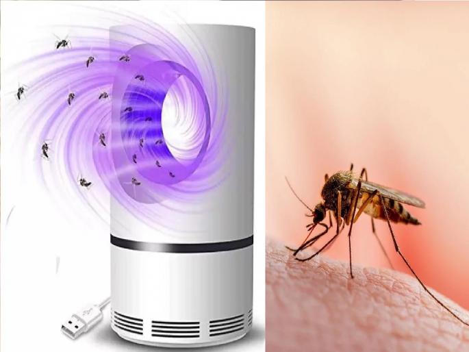 Mosquito Fan: No more mosquitoes; This device will get rid of mosquitoes permanently | Mosquito Fan: आता डासांची खैर नाही; 'या' उपकरणामुळे मिळणार डासांपासून कायमची सुटका... Mosquito Fan: No more mosquitoes; This device will get rid of mosquitoes permanently | Mosquito Fan: आता डासांची खैर नाही; 'या' उपकरणामुळे मिळणार डासांपासून कायमची सुटका...