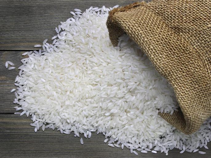 Twelve hundred for paddy, four thousand for nagli, varai; Prices will fall! | भाताला बाराशे, नागली, वरई चार हजार; भाव गडगडणार! Twelve hundred for paddy, four thousand for nagli, varai; Prices will fall! | भाताला बाराशे, नागली, वरई चार हजार; भाव गडगडणार!