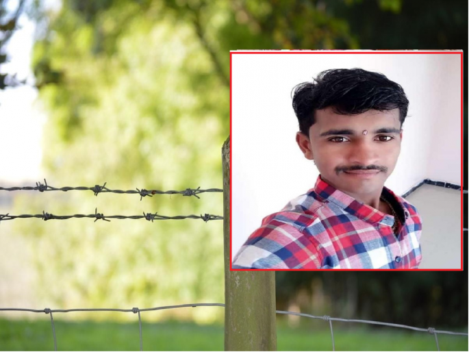 Leaving the current in the fence saved the pomegranate garden but the farmer lost his son | कुंपणात विद्युत प्रवाह सोडल्याने डाळींब बाग वाचली पण शेतकऱ्याने तरुण मुलगा गमावला Leaving the current in the fence saved the pomegranate garden but the farmer lost his son | कुंपणात विद्युत प्रवाह सोडल्याने डाळींब बाग वाचली पण शेतकऱ्याने तरुण मुलगा गमावला