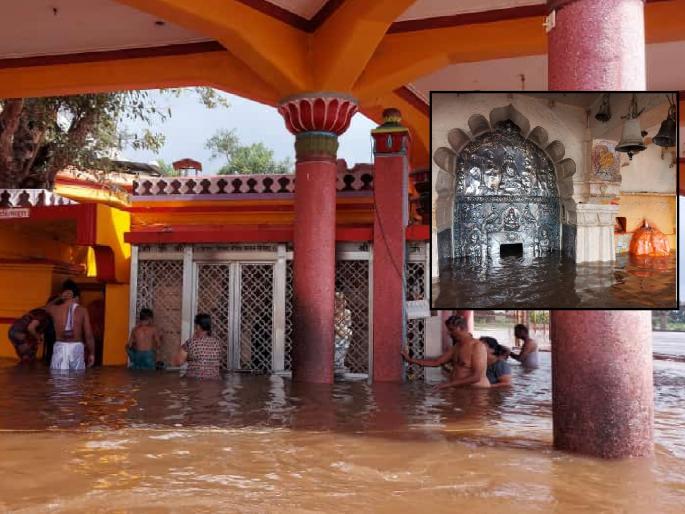 3rd Dakshindwar Ceremony completed in Nrisimhwadi Datta Temple | कोल्हापूर: नृसिंहवाडी दत्त मंदिरात तिसरा दक्षिणद्वार सोहळा संपन्न, भाविकांची गर्दी 3rd Dakshindwar Ceremony completed in Nrisimhwadi Datta Temple | कोल्हापूर: नृसिंहवाडी दत्त मंदिरात तिसरा दक्षिणद्वार सोहळा संपन्न, भाविकांची गर्दी