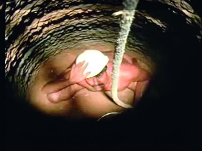 So far; Handbill bawler | अबतक छप्पन; हातांनी बोअर मारणारा अवलिया So far; Handbill bawler | अबतक छप्पन; हातांनी बोअर मारणारा अवलिया