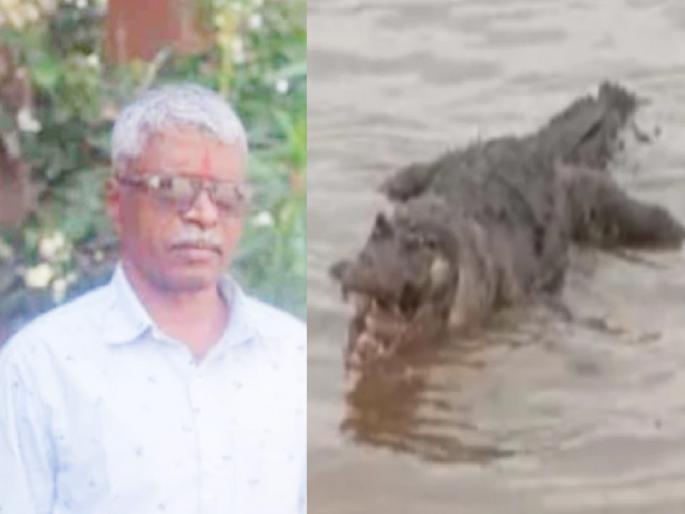 District bank employee killed in crocodile attack in Dattawad, Kolhapur | Kolhapur News: नदीत पोहायला गेले, मगरीने ओढून नेले; दत्तवाडमध्ये जिल्हा बँकेचा कर्मचारी ठार District bank employee killed in crocodile attack in Dattawad, Kolhapur | Kolhapur News: नदीत पोहायला गेले, मगरीने ओढून नेले; दत्तवाडमध्ये जिल्हा बँकेचा कर्मचारी ठार