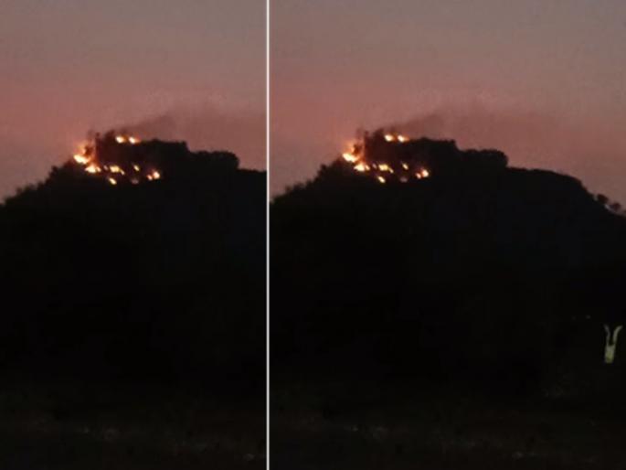 Daulatabad fort mountain caught fire; A hit to peacocks, reptiles | Video: दौलताबाद किल्ल्याच्या डोंगराला लागली आग; मोर, सरपटणाऱ्या प्राण्यांना फटका