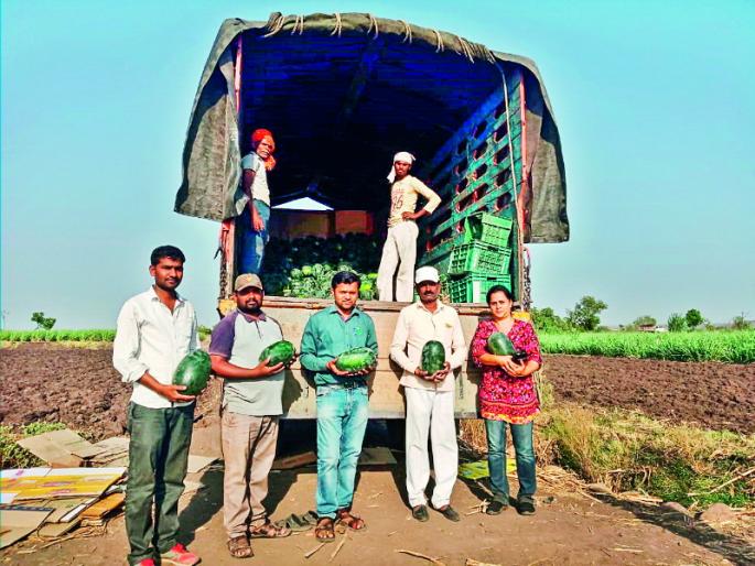 23 tonnes of sugarking water menon of Lingoli going to Dubai | लिंगाळी येथील २३ टन शुगरकिंग कलिंगड दुबईस रवाना 23 tonnes of sugarking water menon of Lingoli going to Dubai | लिंगाळी येथील २३ टन शुगरकिंग कलिंगड दुबईस रवाना