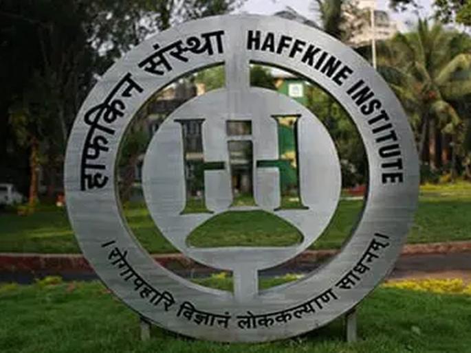 medicine shortage in the state! Both the hospitals and Hafkin are equally liable | राज्यात औषधांचा खडखडाट! रुग्णालये आणि हाफकिन दोघेही तेवढेच जबाबदार medicine shortage in the state! Both the hospitals and Hafkin are equally liable | राज्यात औषधांचा खडखडाट! रुग्णालये आणि हाफकिन दोघेही तेवढेच जबाबदार