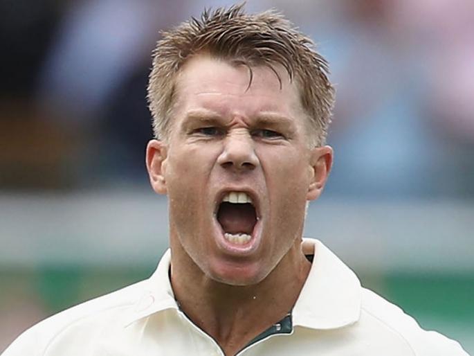 David Warner shut down mouth of fan, watch video ... | 'बेईमान' म्हणणाऱ्या चाहत्याची वॉर्नरने केली बोलती बंद, पाहा व्हिडीओ...