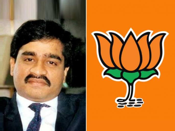 "Will BJP now allow Dawood Ibrahim to join the party trolls Congress Chief Harshavardhan Sapkal | "भाजपावाले आता दाऊद इब्राहिमलाही पक्षात प्रवेश देणार का?"; काँग्रेसचा खोचक सवाल "Will BJP now allow Dawood Ibrahim to join the party trolls Congress Chief Harshavardhan Sapkal | "भाजपावाले आता दाऊद इब्राहिमलाही पक्षात प्रवेश देणार का?"; काँग्रेसचा खोचक सवाल