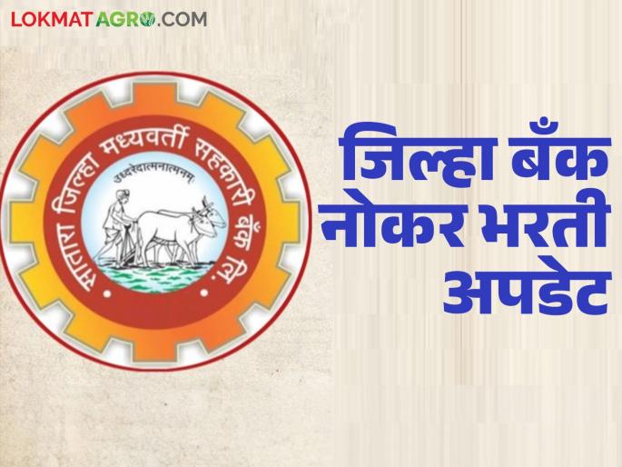 The state government has taken this important decision for recruitment in district central banks; Read in detail | जिल्हा मध्यवर्ती बँकांमधील नोकरभरतीसाठी राज्य शासनाने घेतला 'हा' महत्त्वपूर्ण निर्णय; वाचा सविस्तर The state government has taken this important decision for recruitment in district central banks; Read in detail | जिल्हा मध्यवर्ती बँकांमधील नोकरभरतीसाठी राज्य शासनाने घेतला 'हा' महत्त्वपूर्ण निर्णय; वाचा सविस्तर