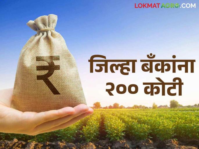 Jilha Bank : 200 crores refund to district banks giving loans at zero percent | Jilha Bank : शून्य टक्क्याने कर्ज देणाऱ्या जिल्हा बँकांना २०० कोटींचा परतावा